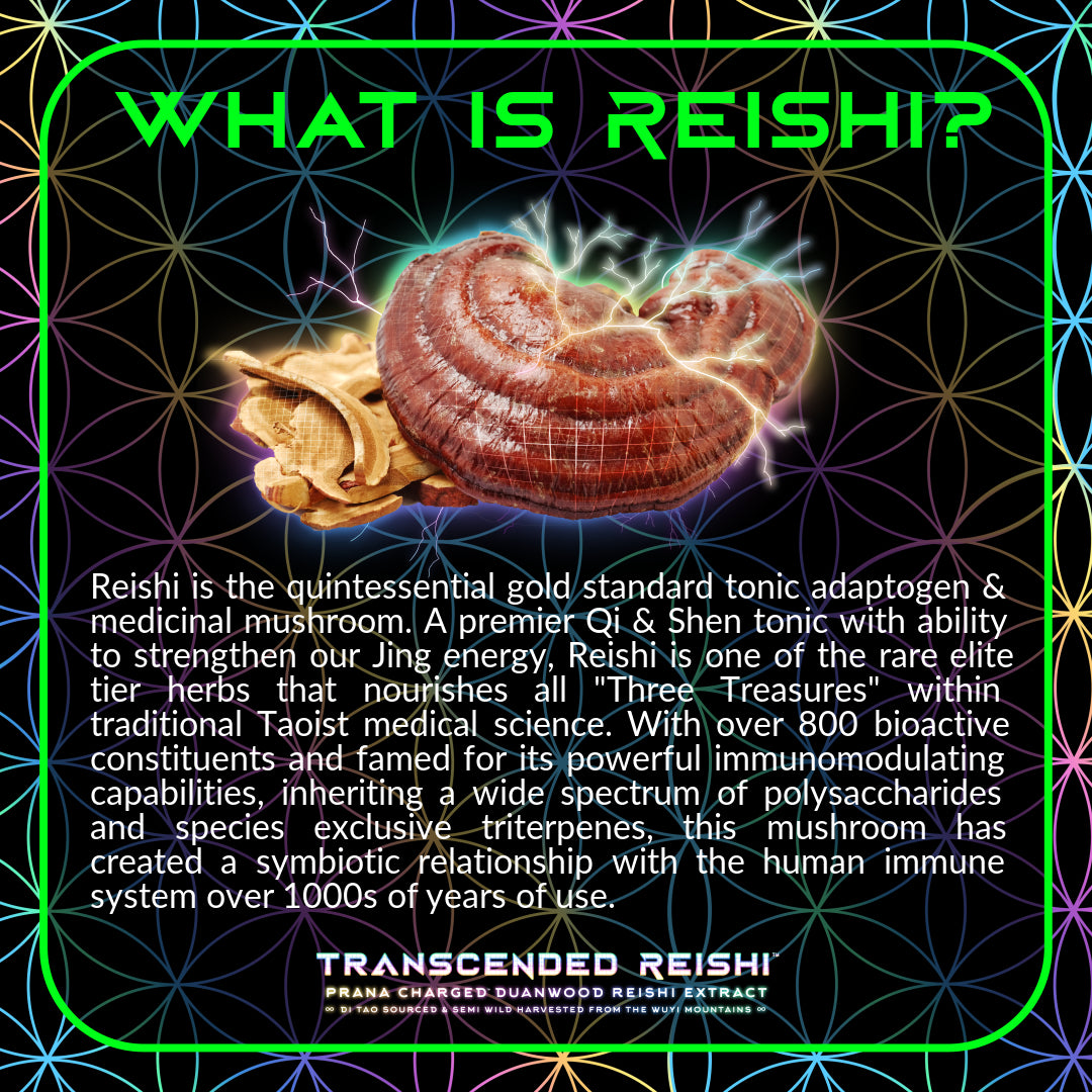 Primal Alchemy - Transcended Reishi 50g