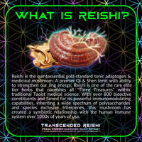 Thumbnail for Primal Alchemy - Transcended Reishi 50g