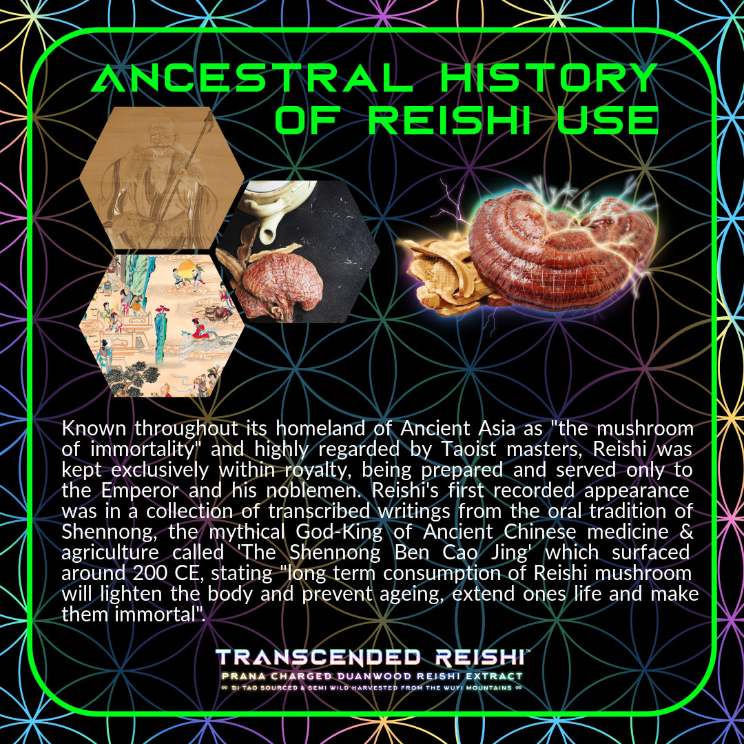 Primal Alchemy - Transcended Reishi 50g