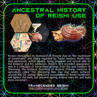 Thumbnail for Primal Alchemy - Transcended Reishi 50g