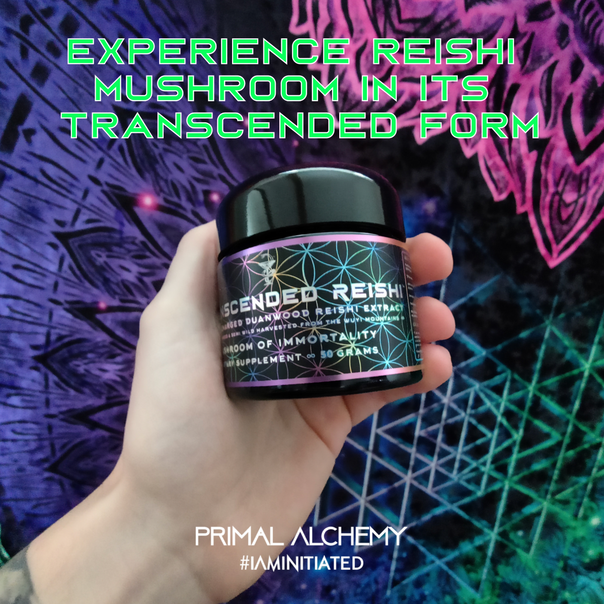 Primal Alchemy - Transcended Reishi 50g