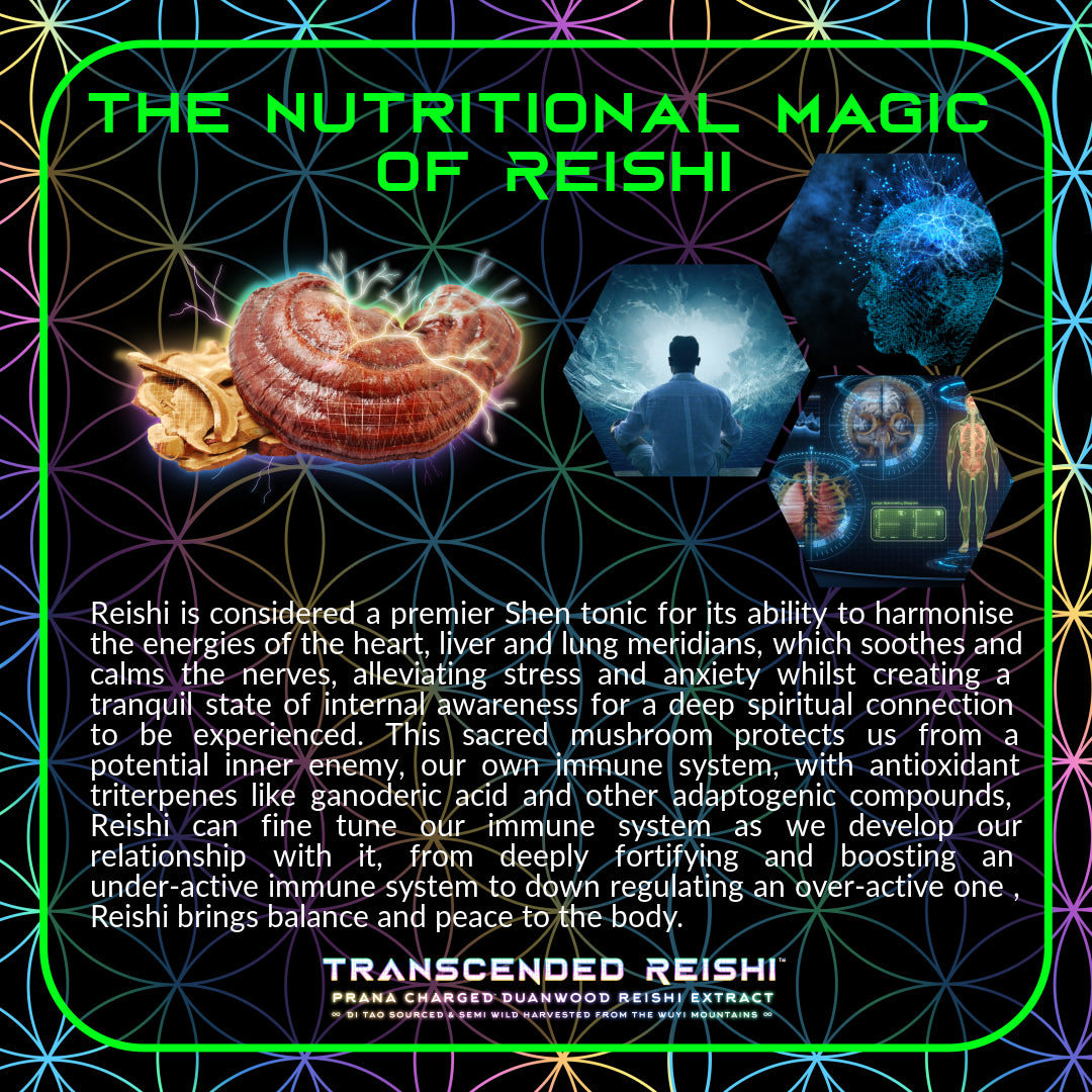 Primal Alchemy - Transcended Reishi 50g