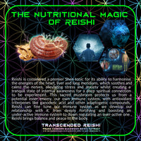 Thumbnail for Primal Alchemy - Transcended Reishi 50g