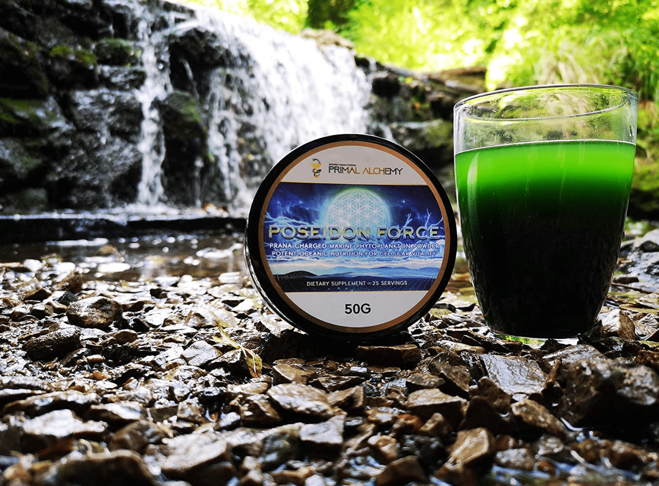 Primal Alchemy - Poseidon Force 50g (marine phytoplankton)