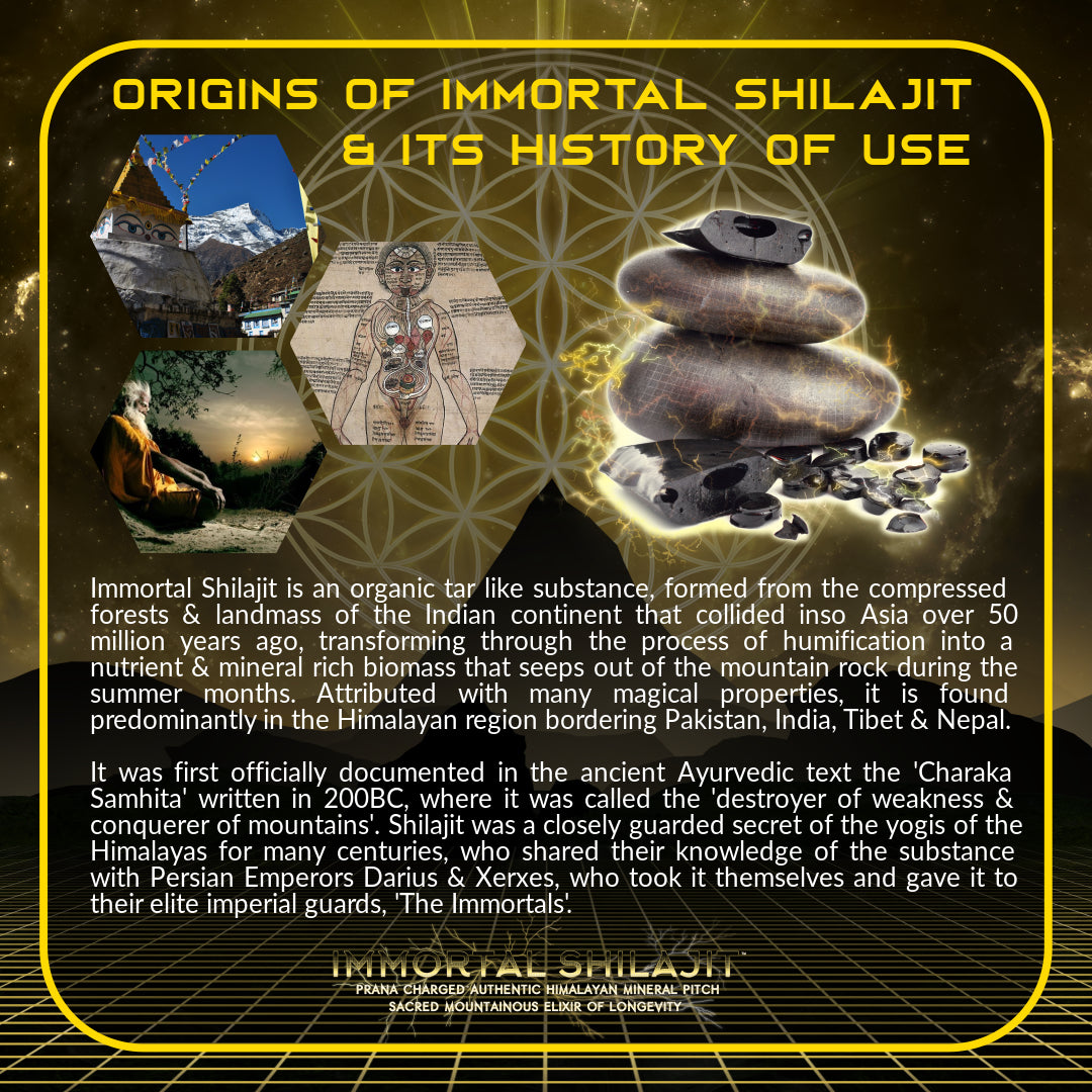 Primal Alchemy - Immortal Shilajit 15g