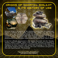 Thumbnail for Primal Alchemy - Immortal Shilajit 333g