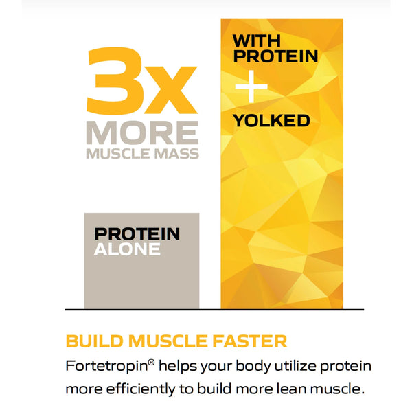 Yolked - Vanilla Fortetropin® 30 Serving Canister (240g/8.5oz) Egg Yolk Powder