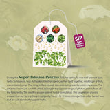 Thumbnail for Dragon Herbs - Spring Dragon Longevity Tea (1 x tea bag sample/3 servings)