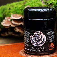 Thumbnail for Nyishar - Turkey Tail Toute-Puissance - 150 Capsules