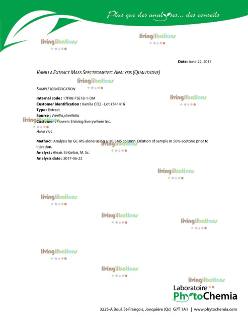 Living Libations -  Vanilla Essential Oil (2.5ml)