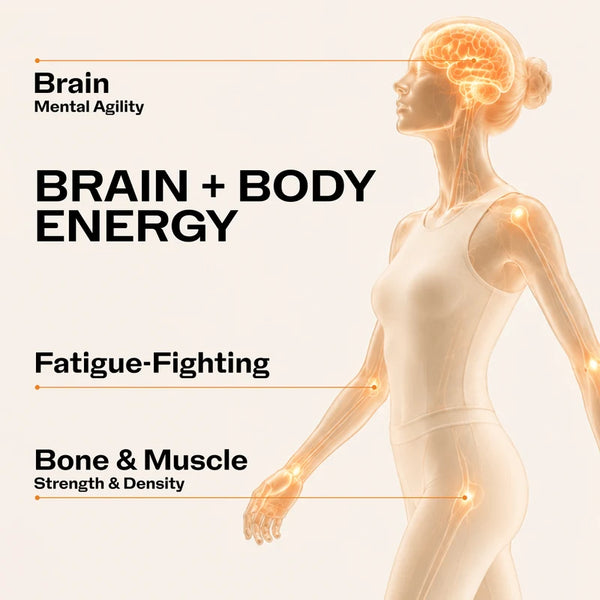 Vimergy Herbs - Brain Body Flexagility 120g (Magnesium, MSM, Turmeric)